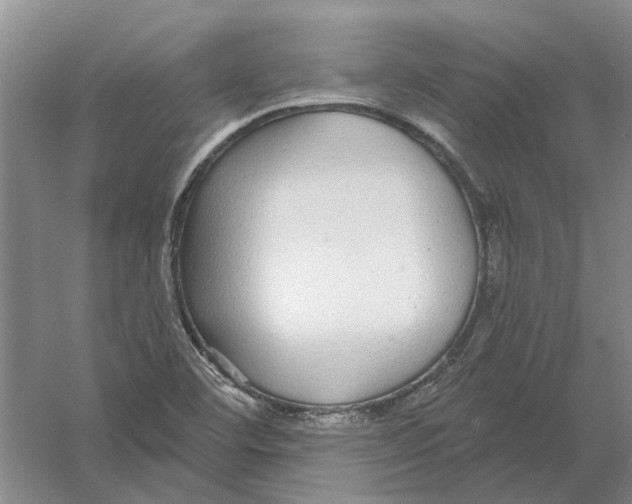 X0000056351460200509232052