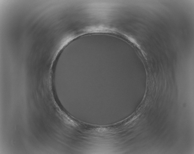 X0000056351463200509232052