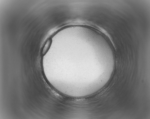 X0000056351464200509232052