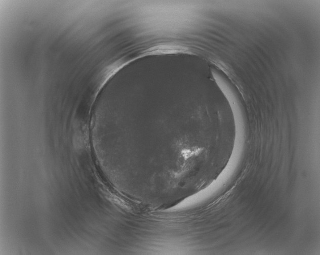 X0000056351465200509232052