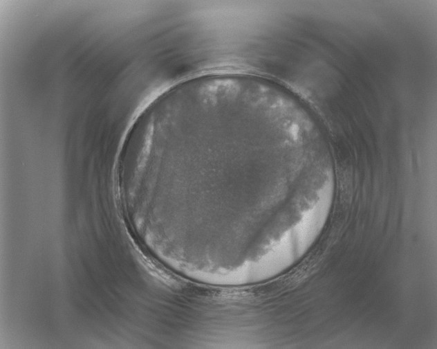 X0000056351466200509232052