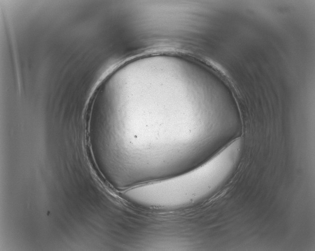 X0000056351467200509232052