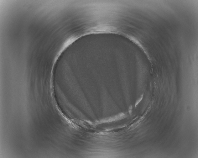 X0000056351469200509232052