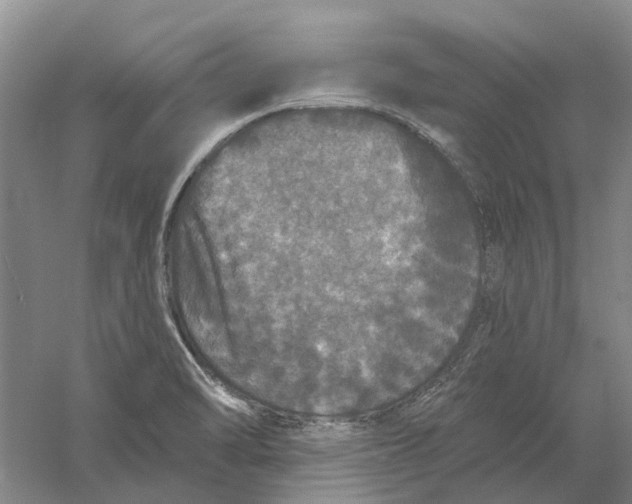 X0000056351470200509232052