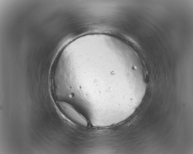 X0000056351471200509232052