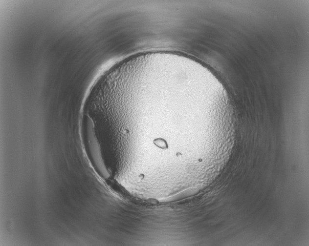 X0000056351472200509232052