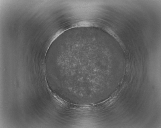 X0000056351473200509232052