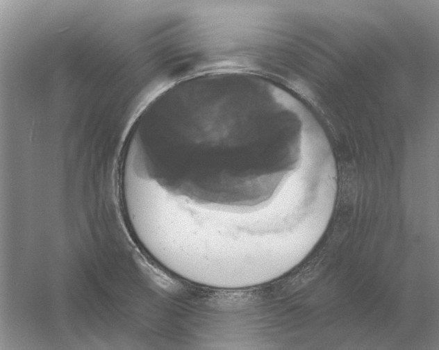 X0000056351474200509232052