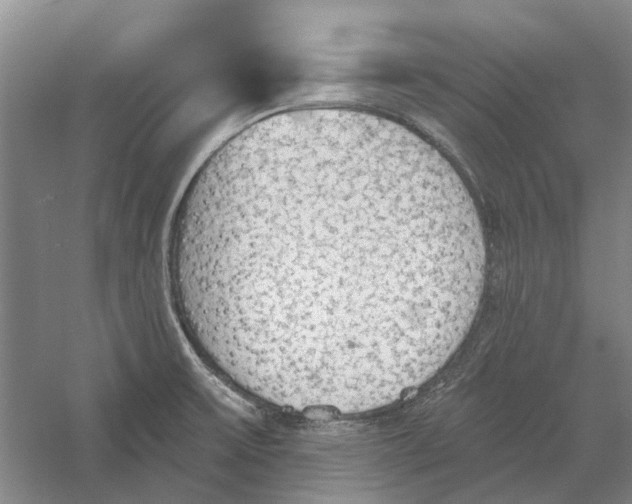 X0000056351475200509232052