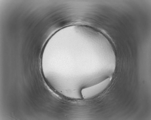 X0000056351476200509232052