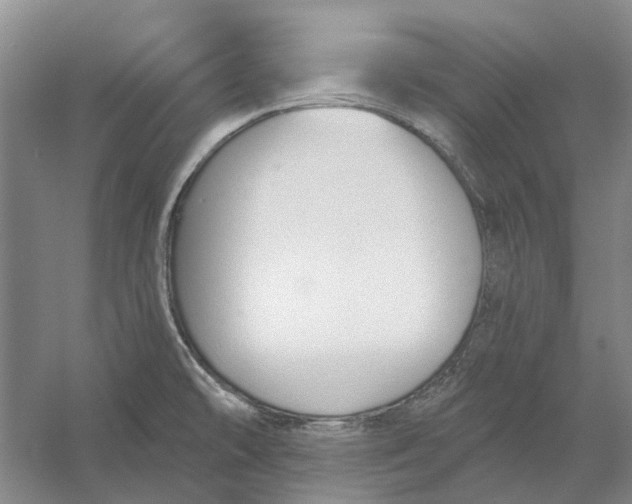 X0000056351478200509232052