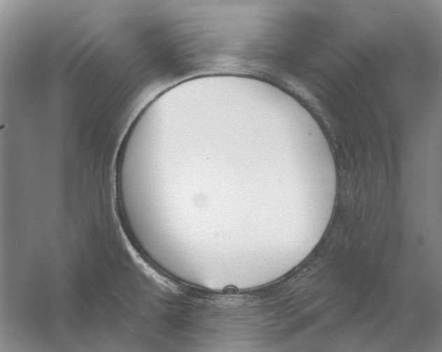 X0000056351479200509232052