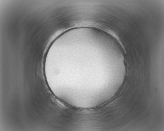 X0000056351480200509232052