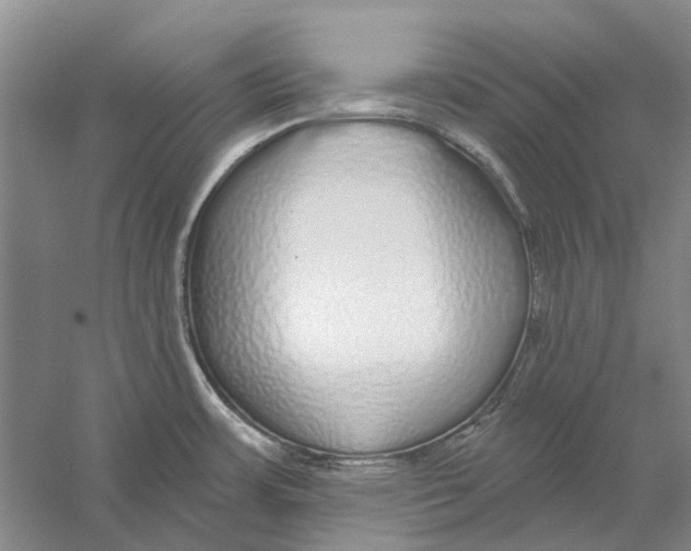 X0000056351483200509232052