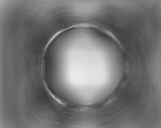 X0000056351484200509232052