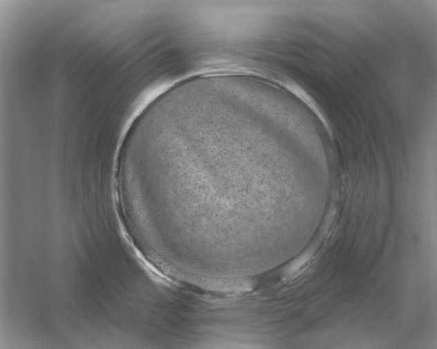 X0000056351485200509232052