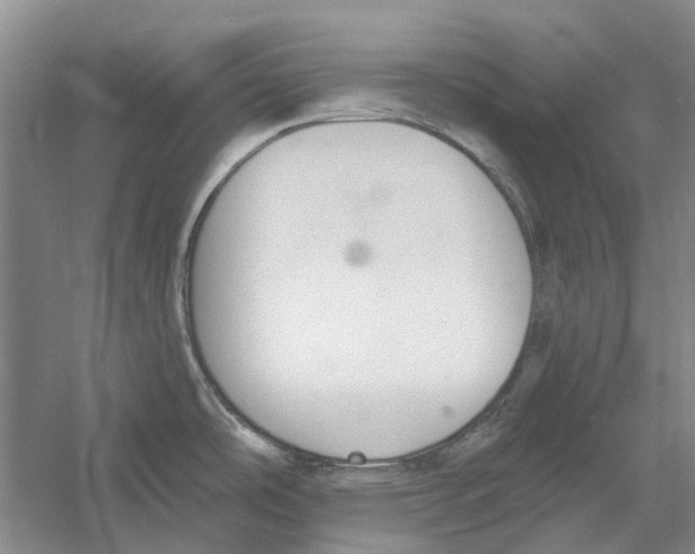 X0000056351486200509232052