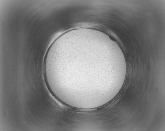 X0000056351487200509232052