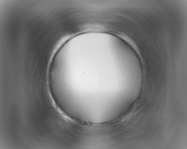 X0000056351488200509232052