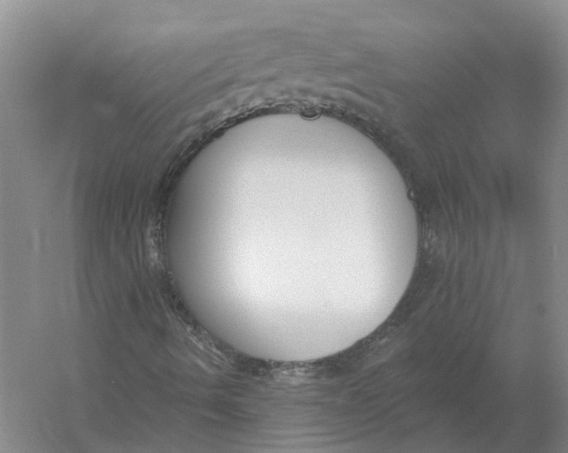 X0000056351490200509232051