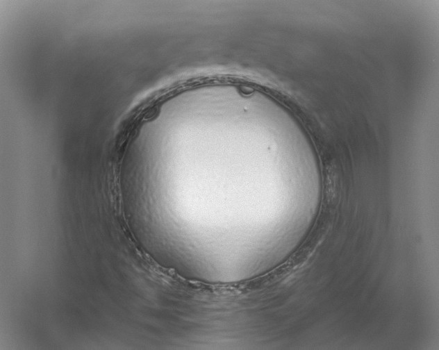 X0000056351494200509232051