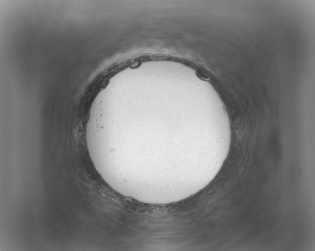 X0000056351495200509232051