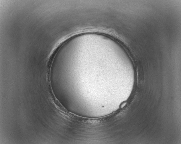 X0000056351501200509232051