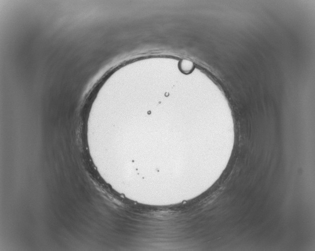 X0000056351502200509232051