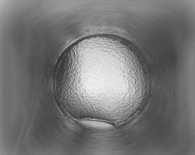 X0000056351505200509232051