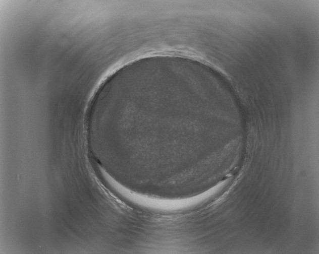 X0000056351506200509232051