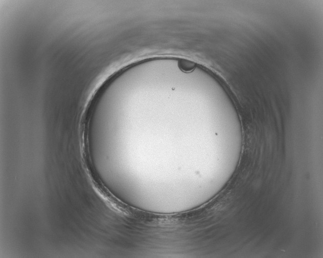 X0000056351511200509232052