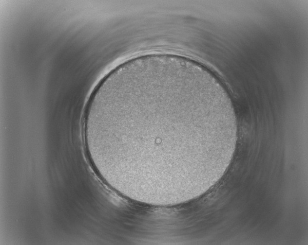 X0000056351514200509232052