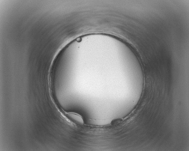 X0000056351517200509232052