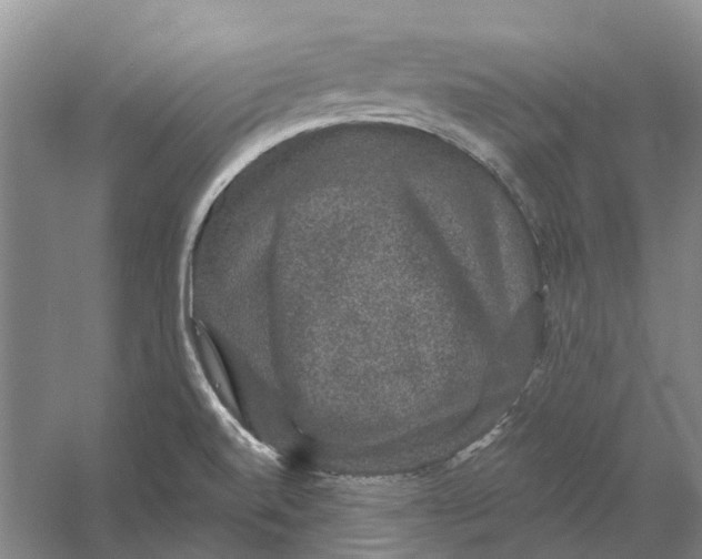 X0000056351520200509232052