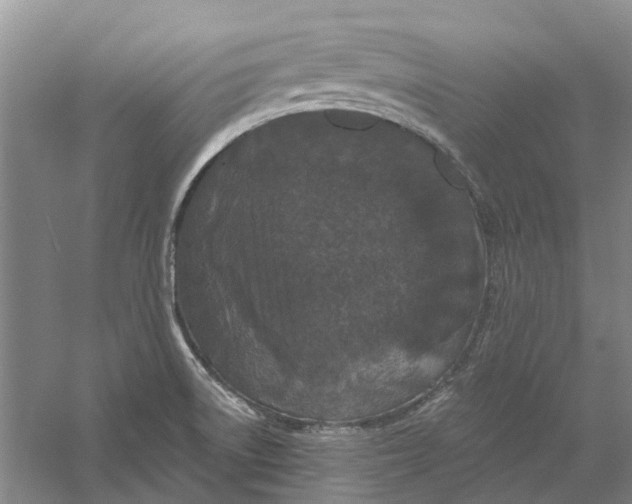 X0000056351522200509232052