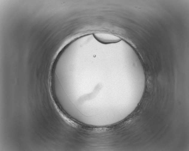 X0000056351523200509232052