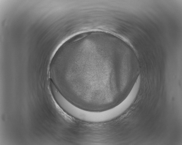 X0000056351524200509232052