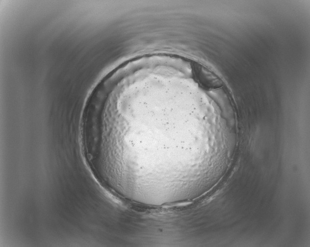 X0000056351525200509232052