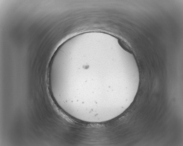 X0000056351526200509232052