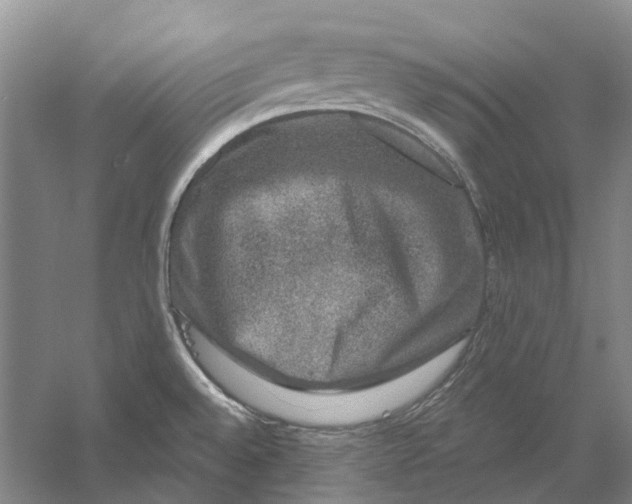 X0000056351528200509232052