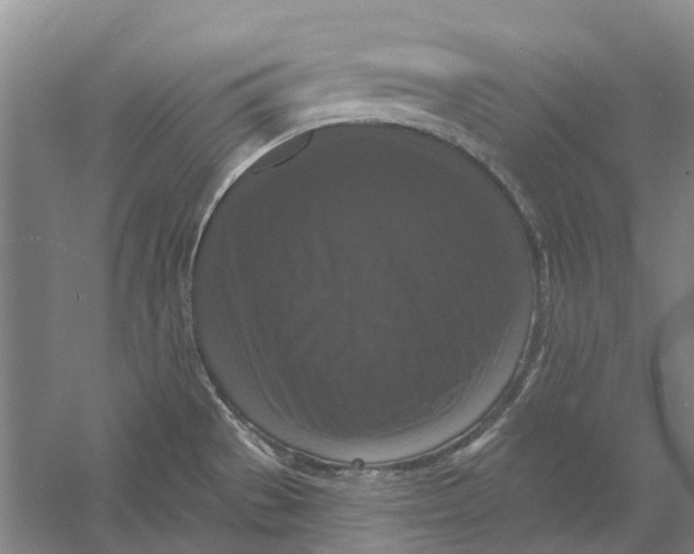 X0000056351529200509232052