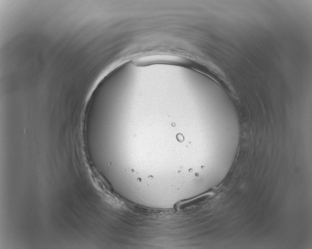 X0000056351530200509232052