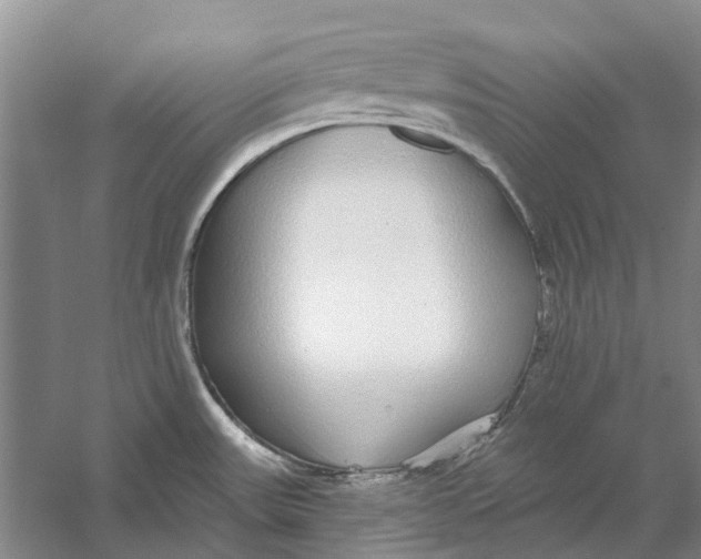 X0000056351531200509232052