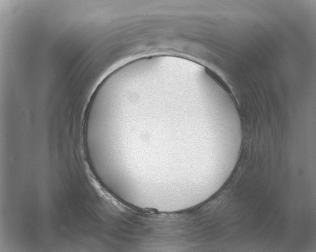 X0000056351534200509232052