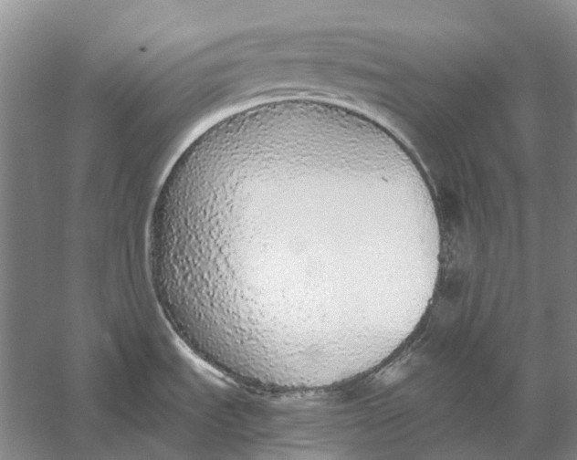 X0000056351535200509232052