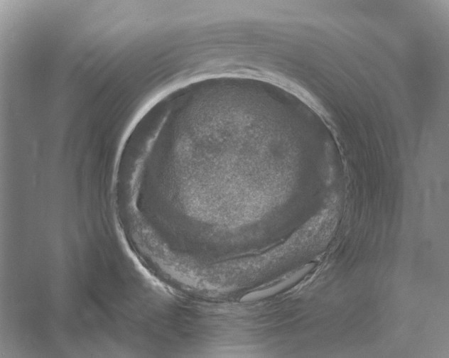 X0000056351536200509232052