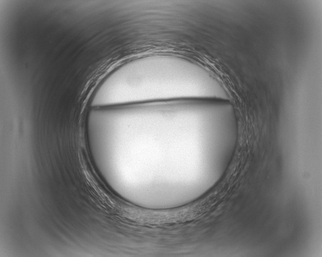 X0000056360002200508260958