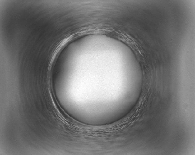 X0000056360003200508260958