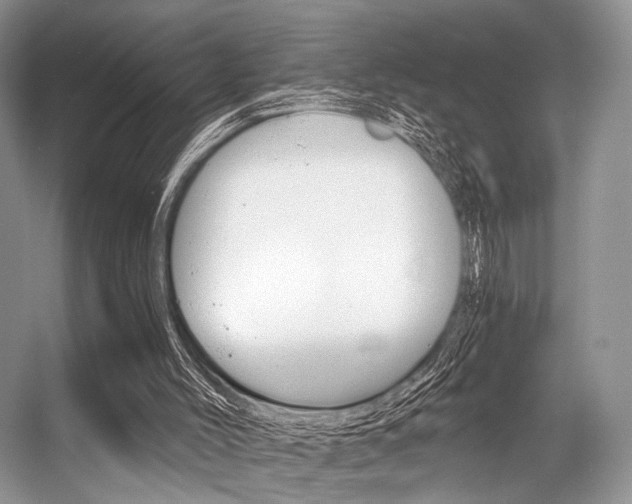 X0000056360004200508260958