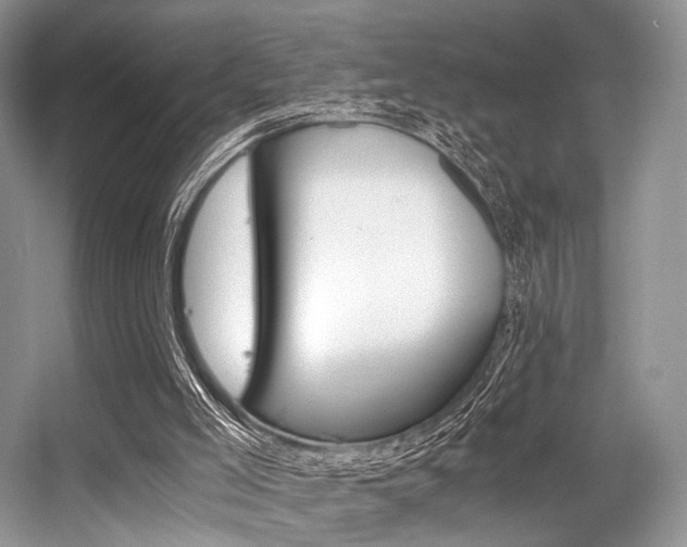 X0000056360005200508260958